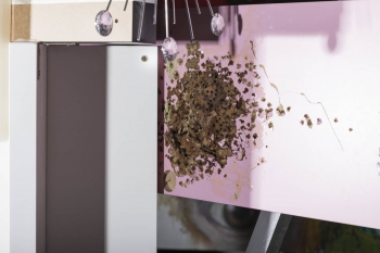 FW_IKONODULIE_SIG_REPROS_20170816_175